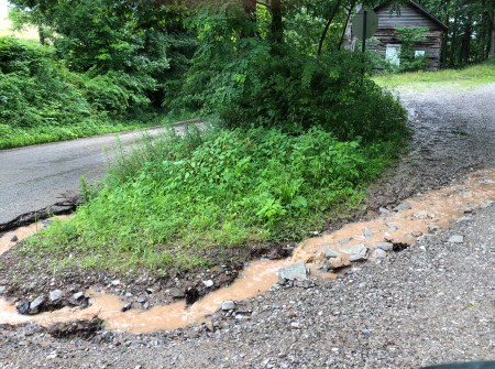 road river 2 IMG_1730